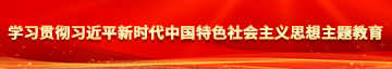 毛茸茸铁杆少年汇编中国成熟吗学习贯彻习近平新时代中国特色社会主义思想主题教育